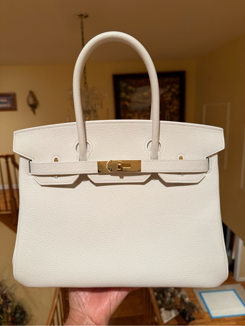 Snow White TOGO Leather Structured Top-Handle Bag with Gold Hardware

30CM
